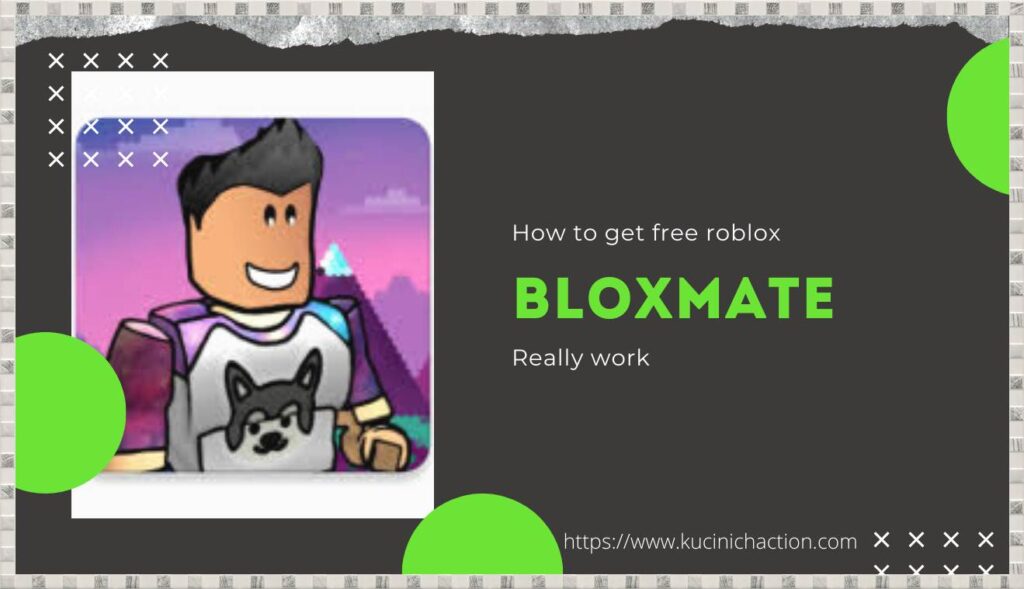 BLOXMATE