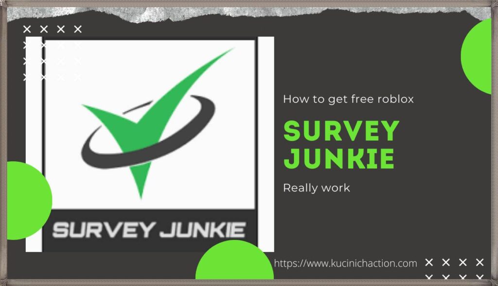 Survey Junkie