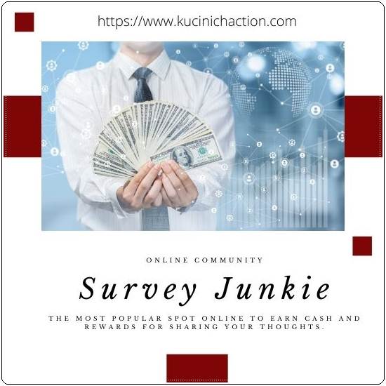 Survey Junkie