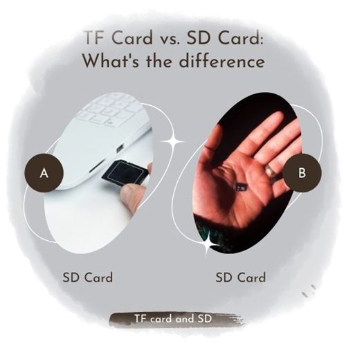 TF Card vs. SD Card What's the difference