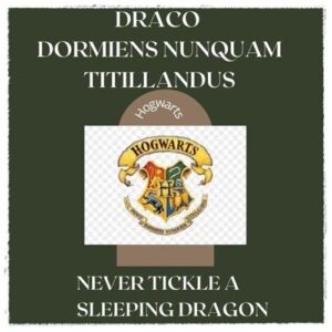 draco dormiens nunquam titillandus