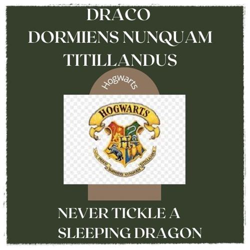 What's the meaning behind Draco dormiens nunquam and titillandus