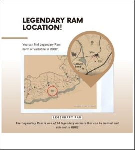 legendary ram rdr2