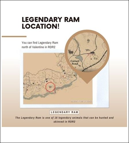 Legendary Ram Location