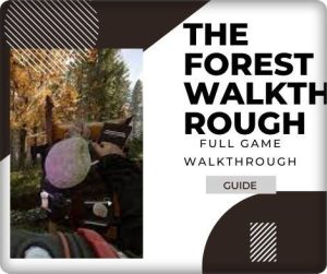 the forest walkthrough