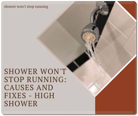 Shower Won't Stop Running Causes and Fixes  High Shower