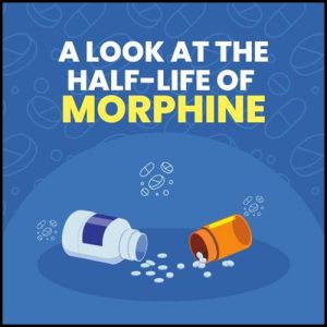 Half-Life Of Morphine